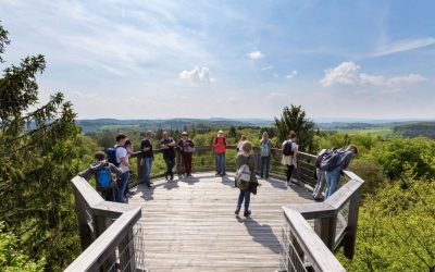 Der Aussichtsturm ist das Markenzeichen
