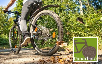 Der Panarbora-Radweg