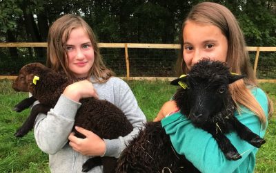 Neue tierische Gäste in Panarbora