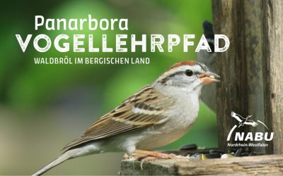 Neuer „Vogellehrpfad“ im Naturerlebnispark