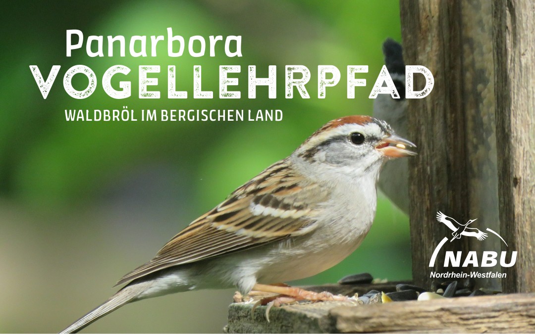 Neuer Vogellehrpfad im Naturerlebnispark Panarbora